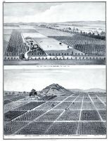 D.M. Harwood, Lone-Hill Vineyard, J.H. Ogier Residence and Farm, Santa Clara County 1876